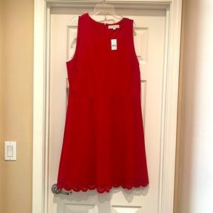 Ann Taylor Loft dress.